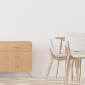 Modern Dining Chairs